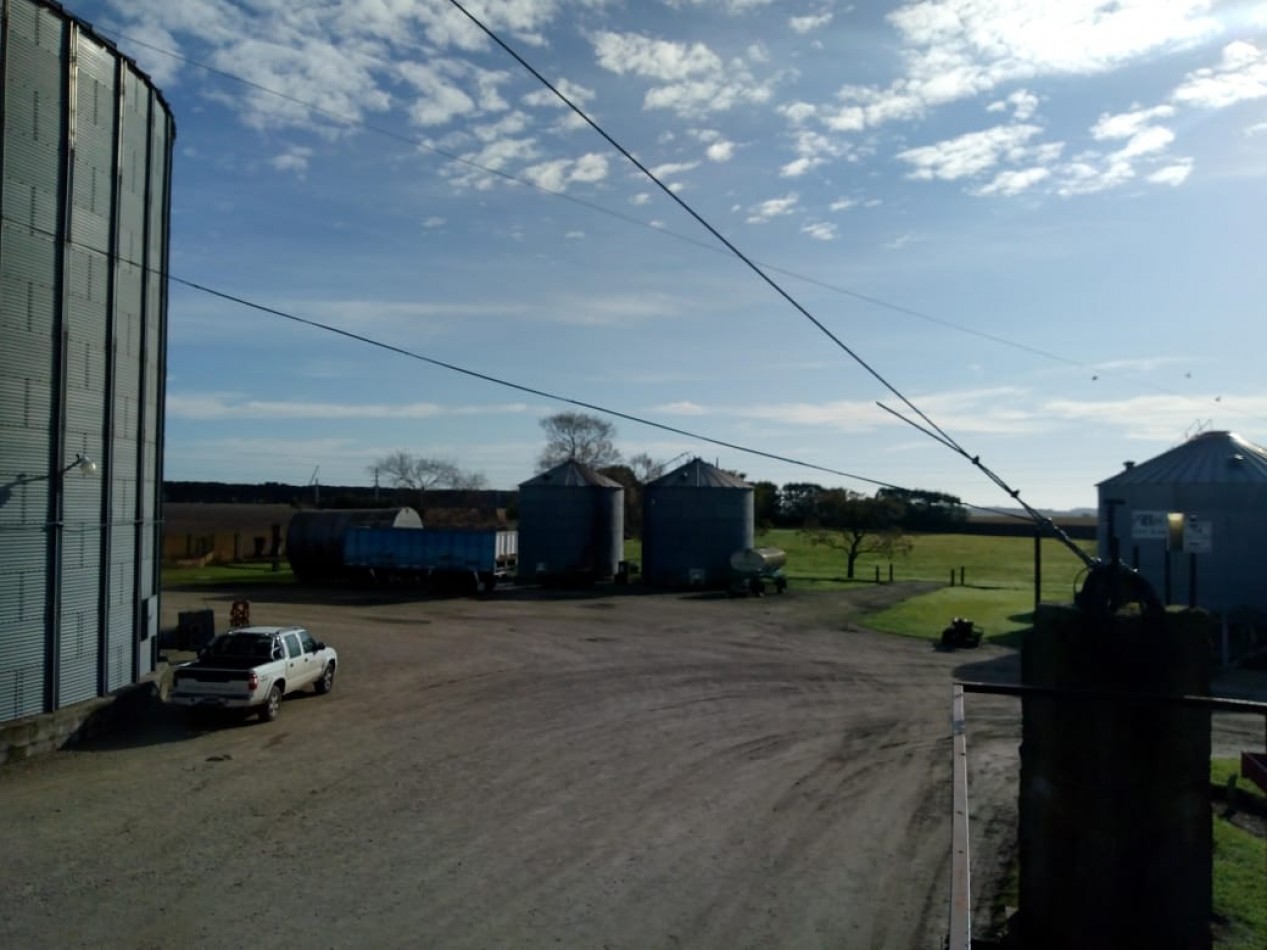 PLANTA DE SILOS SOBRE 3 HAS.
