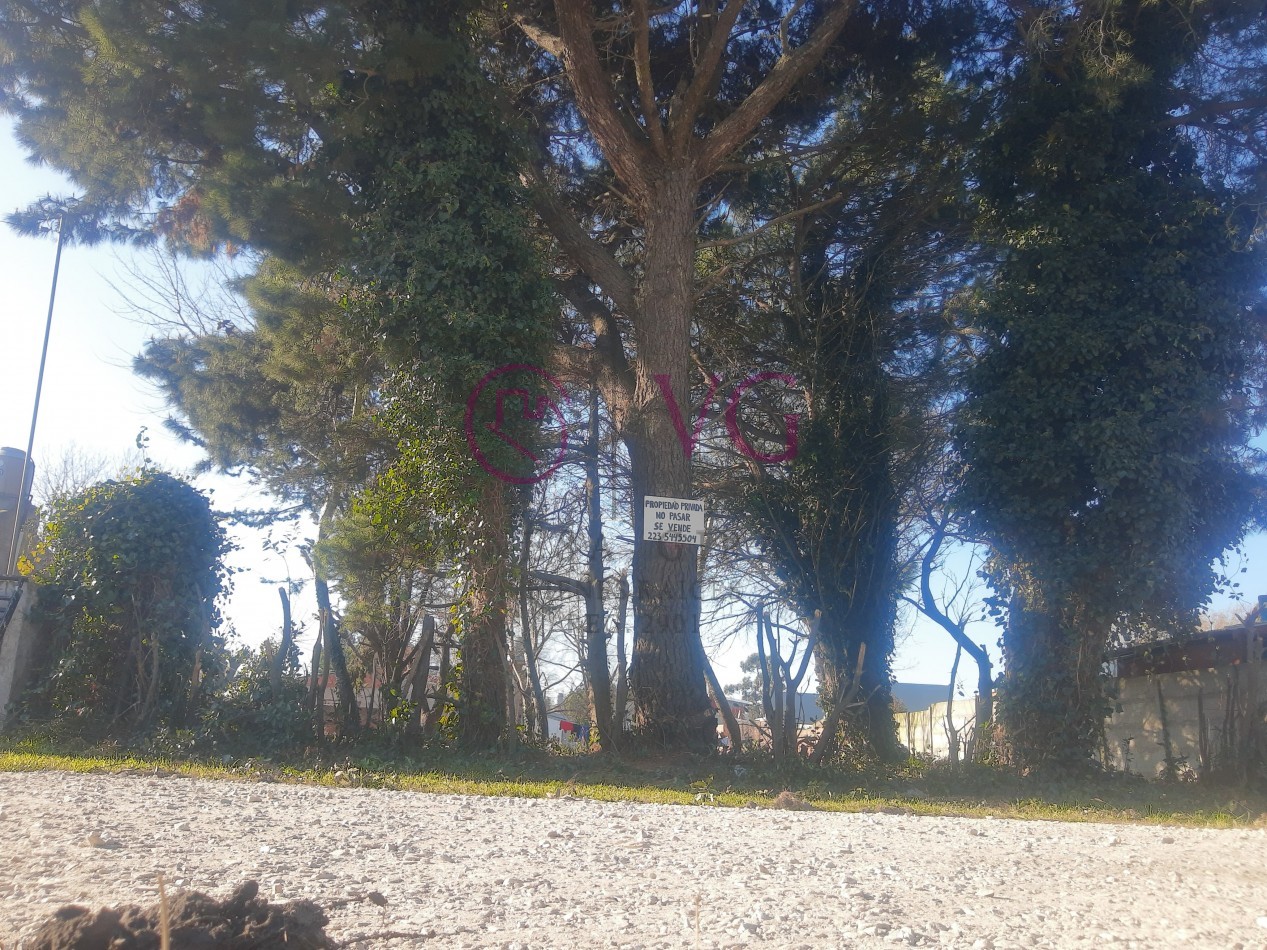 CESION DE DERECHOS, LOTE BARRIO 2 DE ABRIL.