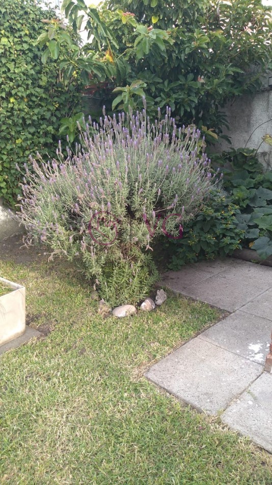 PH 2 AMB.CON QUINCHO, Y/O MONOAMBINTE, ENTRADA DE AUTO Y JARDIN.