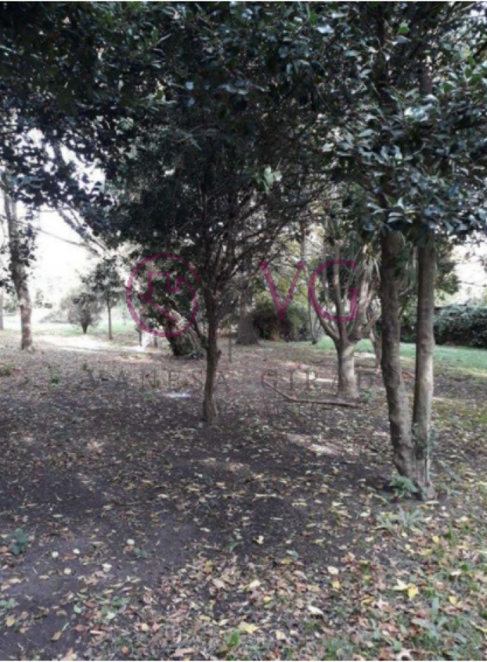IMPERDIBLE LOTE EN GLORIA DE LA PEREGRINA.