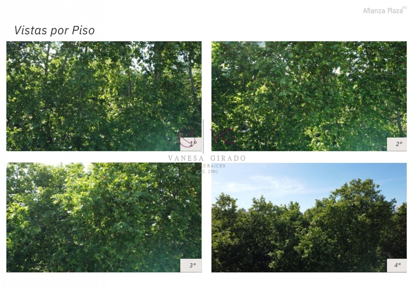 DEPARTAMENTOS DE  2  Y  3 AMB.CON O SIN COCHERA. BARRIO SAN JOSE, ALGUNAS CUOTAS.