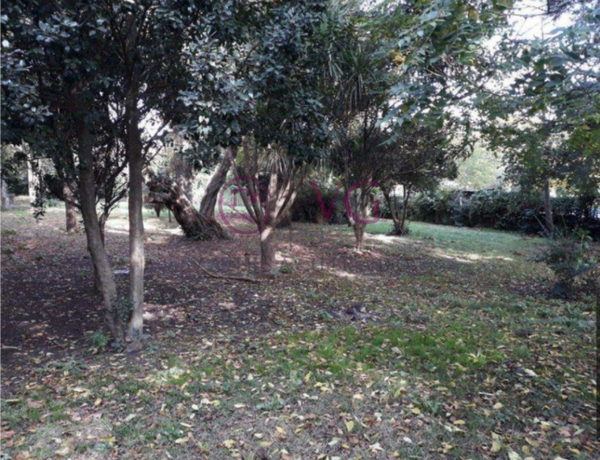 IMPERDIBLE LOTE EN GLORIA DE LA PEREGRINA.