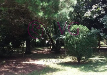 IMPERDIBLE LOTE EN GLORIA DE LA PEREGRINA.